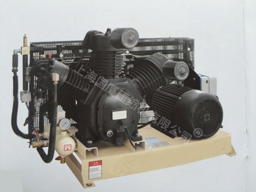 ZW-1.0沼氣壓縮機(jī)
